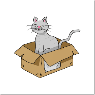 Cat in a box Posters and Art